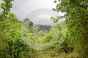 Pure nature at Umphang Wildlife Sanctuary,Tak Province,northwestern Thailand